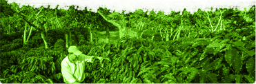 gallery/1